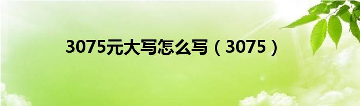 3075元大写怎么写(3075)