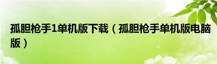 孤胆枪手1单机版下载(孤胆枪手单机版电脑版)