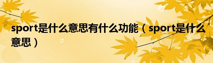 sport是什么意思有什么功能(sport是什么意思)