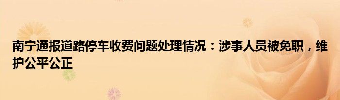 南宁通报道路停车收费问题处理情况:涉事人员被免职,维护公平公正