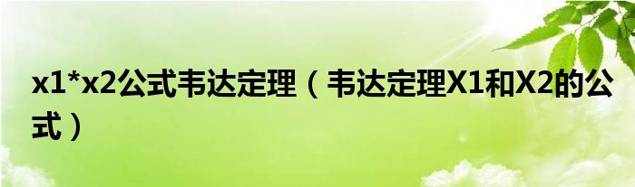 x1*x2公式韦达定理(韦达定理X1和X2的公式)