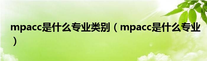 mpacc是什么专业类别(mpacc是什么专业)