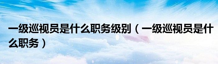 一级巡视员是什么职务级别(一级巡视员是什么职务)