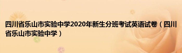 四川省乐山市实验中学2020年新生分班考试英语试卷(四川省乐山市实验中学)