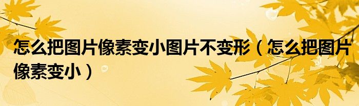 怎么把图片像素变小图片不变形(怎么把图片像素变小)