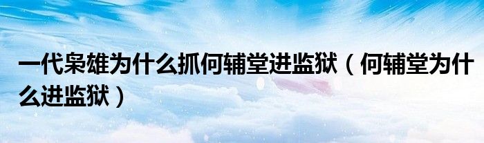 一代枭雄为什么抓何辅堂进监狱(何辅堂为什么进监狱)