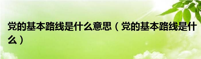 党的基本路线是什么意思(党的基本路线是什么)