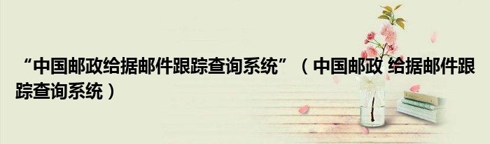“中国邮政给据邮件跟踪查询系统”(中国邮政 给据邮件跟踪查询系统)