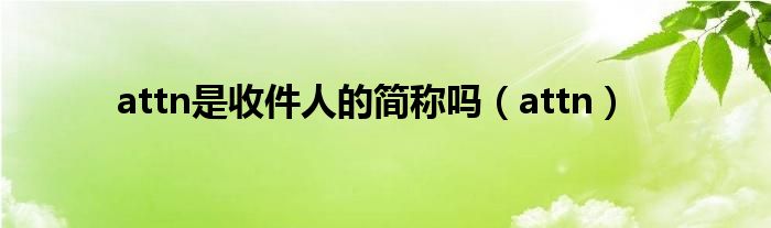attn是收件人的简称吗(attn)