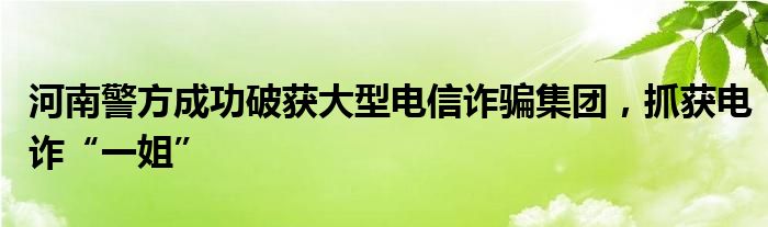 河南警方成功破获大型电信诈骗集团,抓获电诈“一姐”