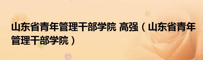 山东省青年管理干部学院 高强(山东省青年管理干部学院)