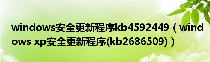 windows安全更新程序kb4592449(windows xp安全更新程序(kb2686509))