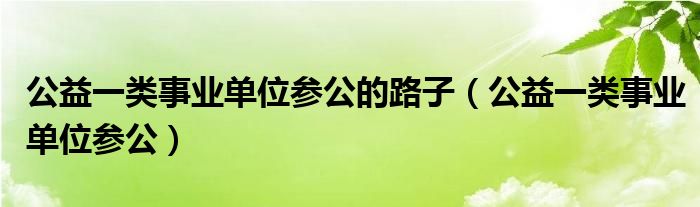 公益一类事业单位参公的路子(公益一类事业单位参公)