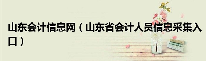山东会计信息网(山东省会计人员信息采集入口)