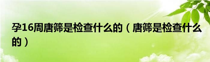 孕16周唐筛是检查什么的(唐筛是检查什么的)