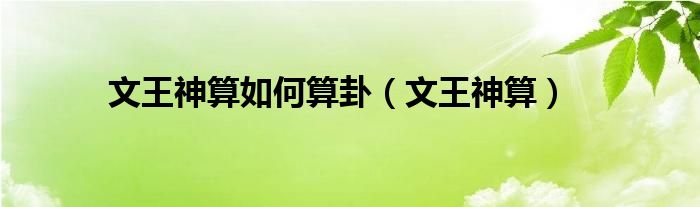 文王神算如何算卦(文王神算)