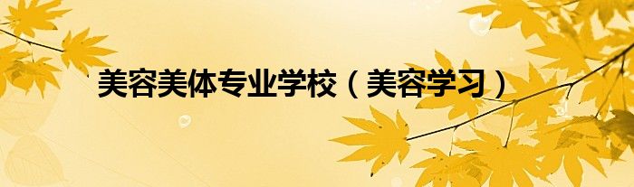 美容美体专业学校(美容学习)