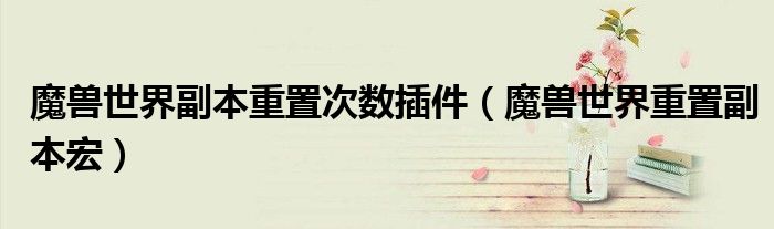 魔兽世界副本重置次数插件(魔兽世界重置副本宏)