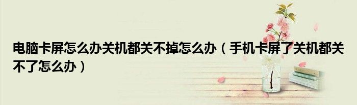 电脑卡屏怎么办关机都关不掉怎么办(手机卡屏了关机都关不了怎么办)