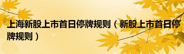 上海新股上市首日停牌规则(新股上市首日停牌规则)