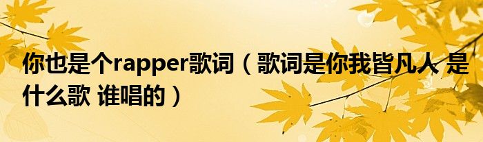 你也是个rapper歌词(歌词是你我皆凡人 是什么歌 谁唱的)