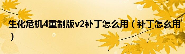 生化危机4重制版v2补丁怎么用(补丁怎么用)