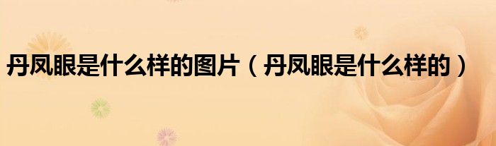 丹凤眼是什么样的图片(丹凤眼是什么样的)