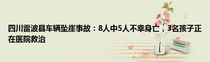 四川雷波县车辆坠崖事故:8人中5人不幸身亡,3名孩子正在医院救治