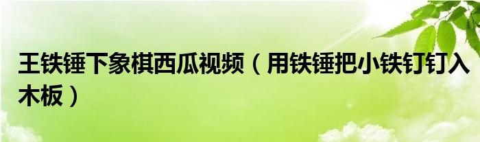 王铁锤下象棋西瓜视频(用铁锤把小铁钉钉入木板)