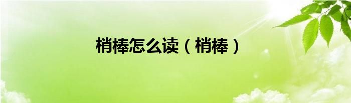 梢棒怎么读（梢棒）