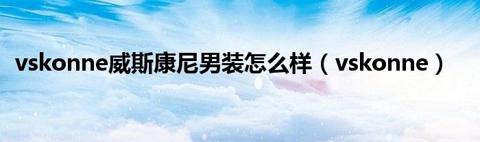 vskonne威斯康尼男装怎么样(vskonne)
