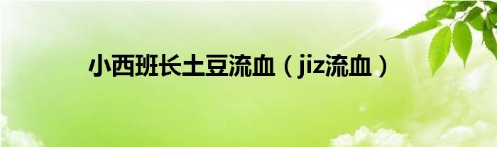 小西班长土豆流血（jiz流血）