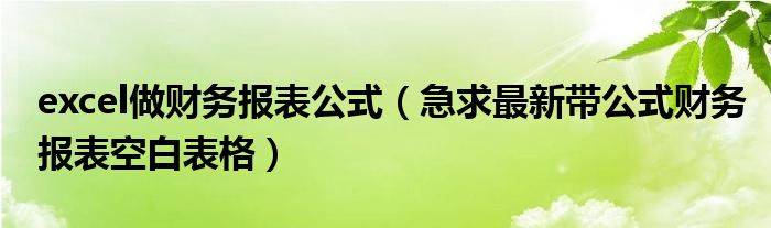 excel做财务报表公式(急求最新带公式财务报表空白表格)