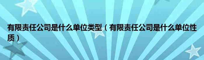 有限责任公司是什么单位类型(有限责任公司是什么单位性质)