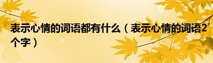 表示心情的词语都有什么（表示心情的词语2个字）