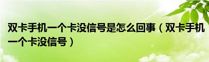 双卡手机一个卡没信号是怎么回事（双卡手机一个卡没信号）