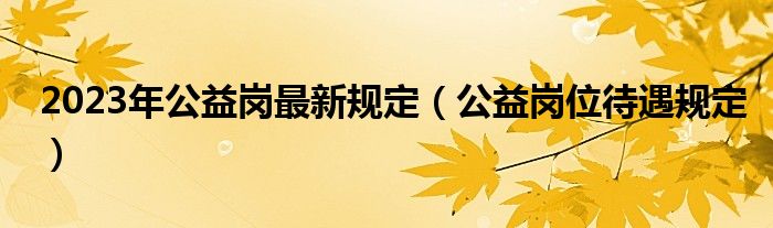 2023年公益岗最新规定(公益岗位待遇规定)