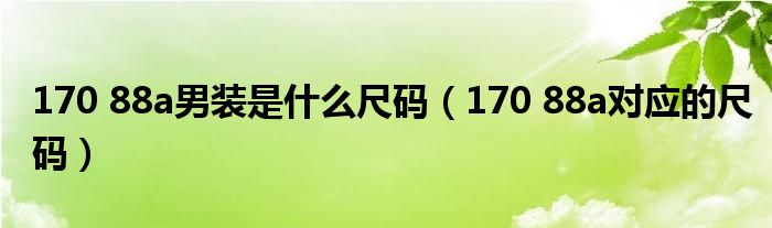 170 88a男装是什么尺码（170 88a对应的尺码）