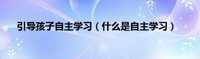 引导孩子自主学习(什么是自主学习)