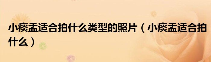 小痰盂适合拍什么类型的照片(小痰盂适合拍什么)