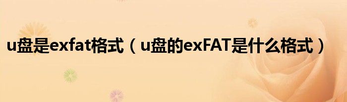 u盘是exfat格式(u盘的exFAT是什么格式)
