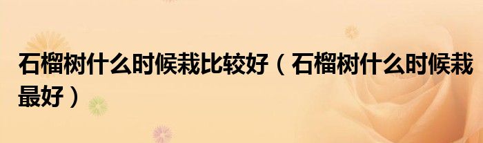 石榴树什么时候栽比较好(石榴树什么时候栽最好)