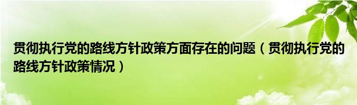 贯彻执行党的路线方针政策方面存在的问题(贯彻执行党的路线方针政策情况)