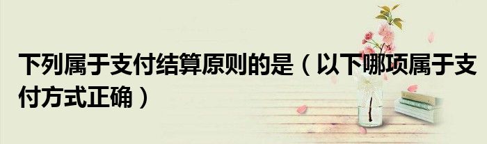 下列属于支付结算原则的是(以下哪项属于支付方式正确)