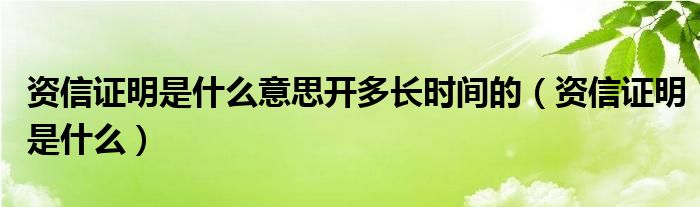 资信证明是什么意思开多长时间的(资信证明是什么)