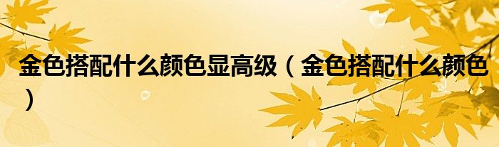 金色搭配什么颜色显高级(金色搭配什么颜色)