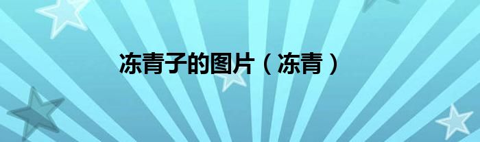 冻青子的图片（冻青）