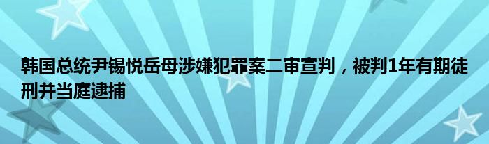 韩国总统尹锡悦岳母涉嫌犯罪案二审宣判,被判1年有期徒刑并当庭逮捕