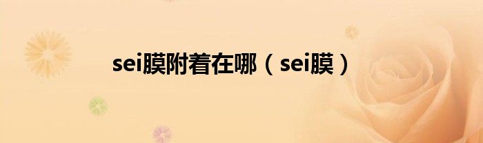sei膜附着在哪(sei膜)