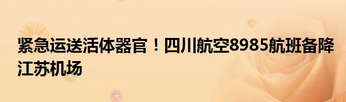 紧急运送活体器官!四川航空8985航班备降江苏机场